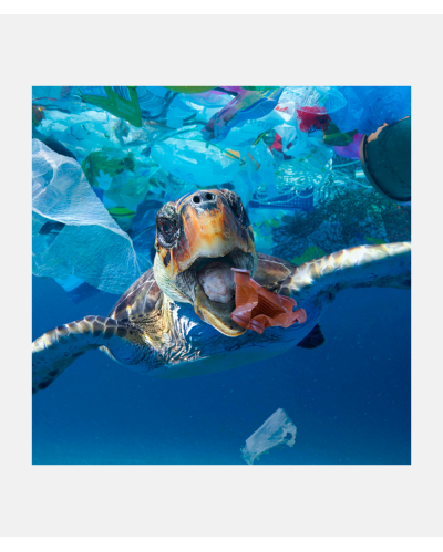 SUB Ocean Plastic Seaweed watch